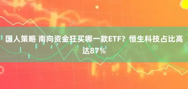 国人策略 南向资金狂买哪一款ETF？恒生科技占比高达87%
